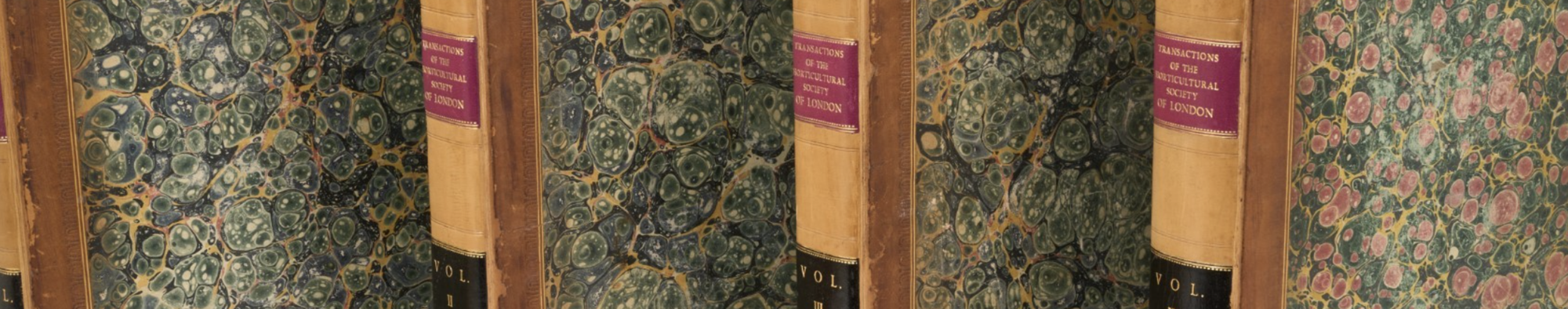 Collection of Dr D G Hessayon (1928-2025)